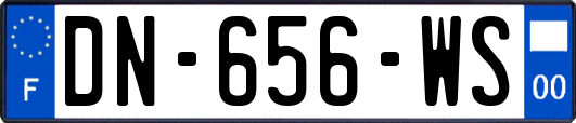 DN-656-WS