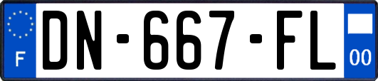 DN-667-FL