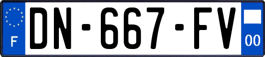 DN-667-FV