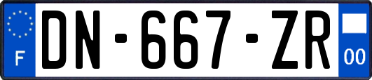 DN-667-ZR