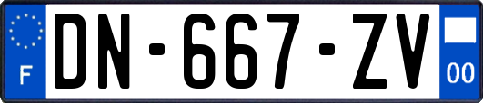 DN-667-ZV