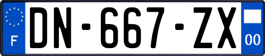 DN-667-ZX