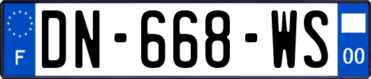 DN-668-WS