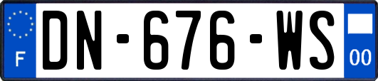 DN-676-WS