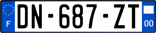 DN-687-ZT