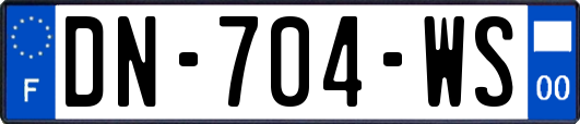 DN-704-WS