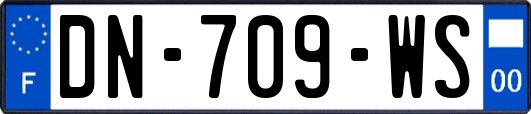 DN-709-WS