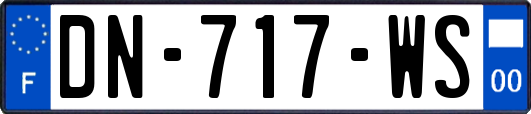 DN-717-WS