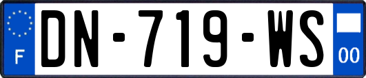 DN-719-WS