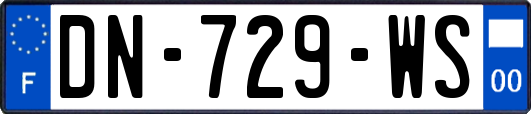 DN-729-WS