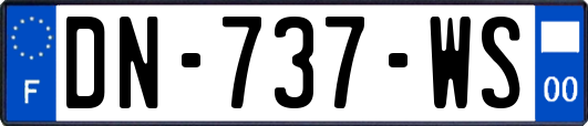 DN-737-WS
