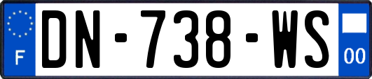 DN-738-WS