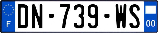 DN-739-WS