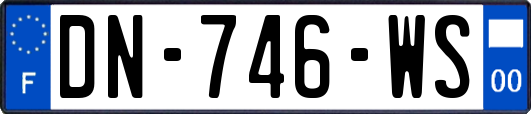 DN-746-WS