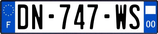 DN-747-WS