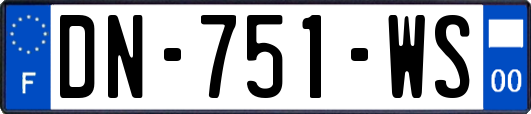 DN-751-WS
