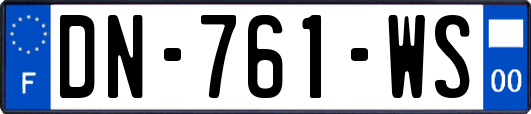 DN-761-WS