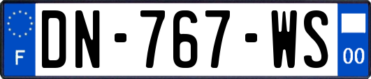 DN-767-WS