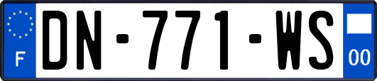 DN-771-WS