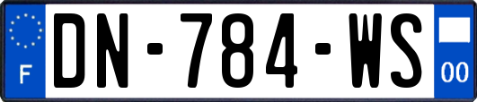 DN-784-WS