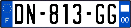 DN-813-GG