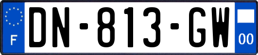 DN-813-GW