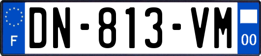 DN-813-VM