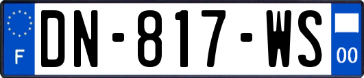 DN-817-WS