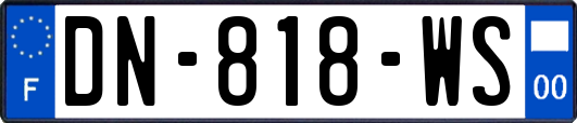 DN-818-WS
