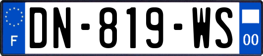 DN-819-WS