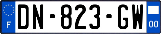 DN-823-GW