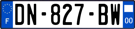 DN-827-BW