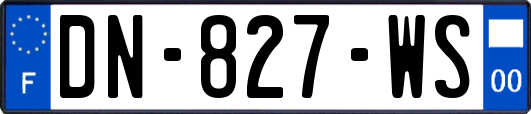 DN-827-WS