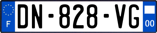 DN-828-VG
