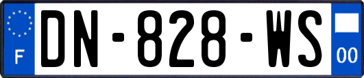 DN-828-WS