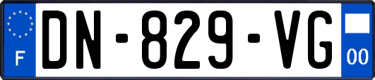 DN-829-VG