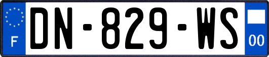 DN-829-WS