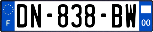 DN-838-BW