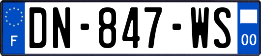 DN-847-WS