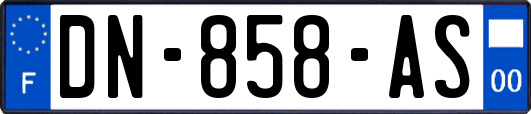 DN-858-AS
