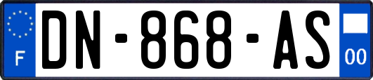 DN-868-AS