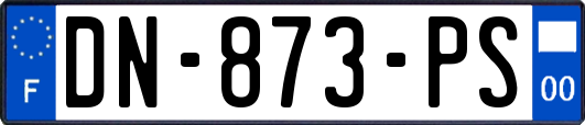 DN-873-PS