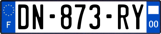 DN-873-RY