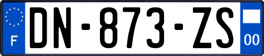 DN-873-ZS