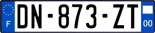 DN-873-ZT