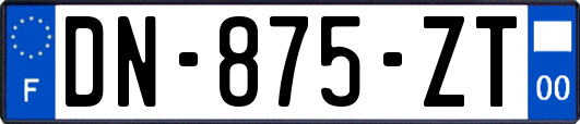 DN-875-ZT