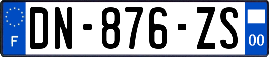 DN-876-ZS