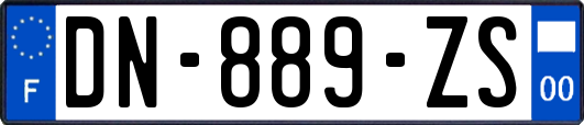 DN-889-ZS