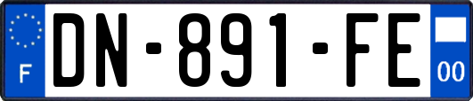 DN-891-FE