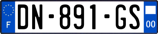 DN-891-GS